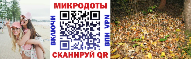 Купить  Верхотурье  Галлюциногенные грибы прущие грибы 